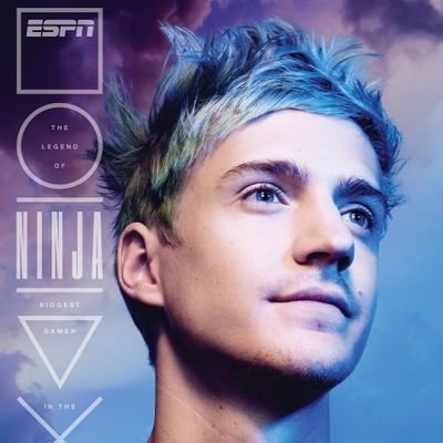 image of Ninja